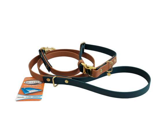 BioThane® Dog collar & Regular leash set