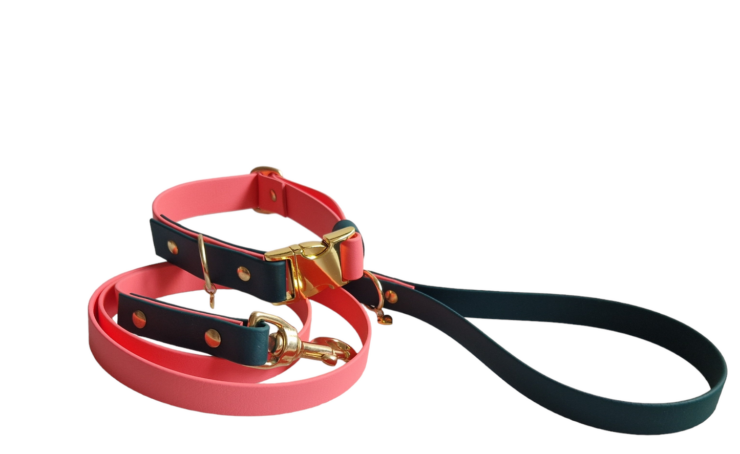 BioThane® Dog collar and leash set